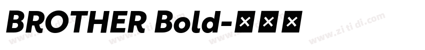 BROTHER Bold字体转换